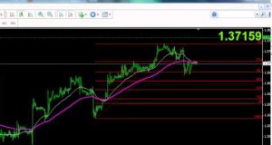 EUR/USD – Forex trading strategy, release Feb 21,2014