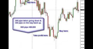 Forex Pip Taker Review!  New Revolutionary Swing Trading System
