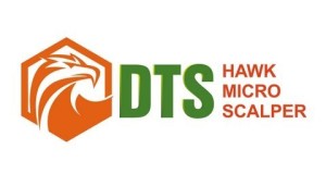 Hawk Micro-Scalper – Diversified Trading System – DTS | Ninja Trader Day Trading System