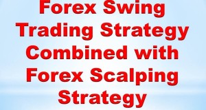 Price Action Forex Trading :Forex Swing Trading Strategy Combined with Forex Scalping Strategy